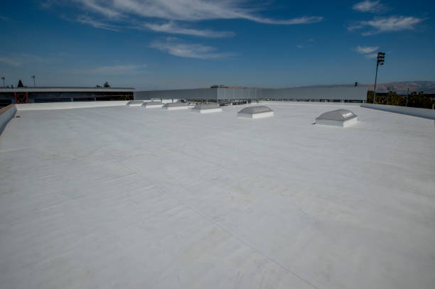Best Skylight Installation and Repair  in Blue Jay, OH