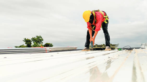 Best Roof Maintenance and Cleaning  in Blue Jay, OH
